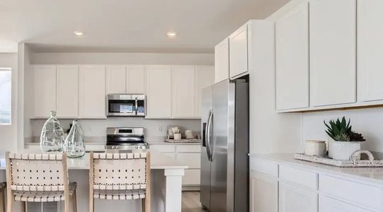 Timber Lark: Paired Homes 4