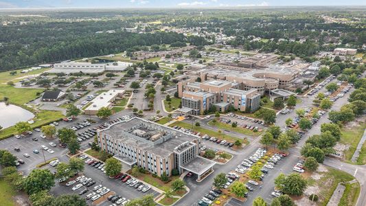 Pinewood Estates by D.R. Horton in Conway - image