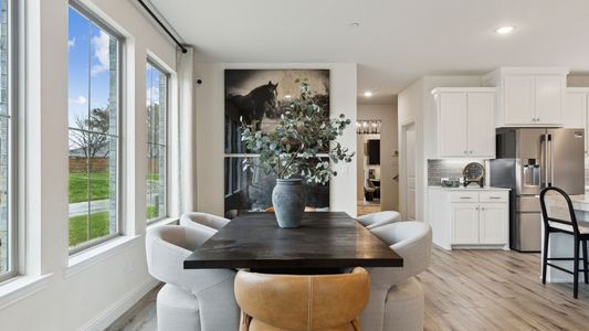 Painted Tree - Village District by CB JENI Homes in McKinney - image 7