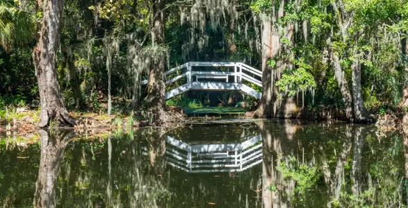Cypress Preserve by Lennar in Moncks Corner - image 2