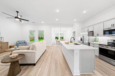 Eagle Pointe by DSLD Homes in Pensacola - image 7