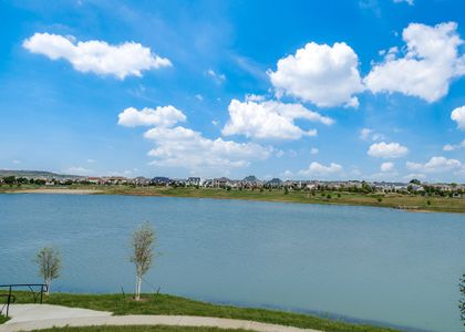Viridian by CB JENI Homes in Arlington - photo 23 23