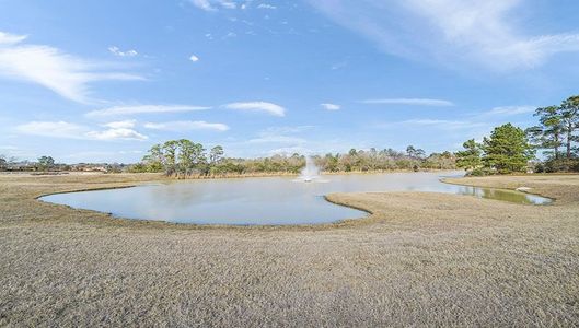 Water Crest on Lake Conroe by D.R. Horton in Conroe - photo 41 41