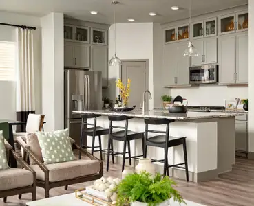 Trailside at Cottonwood Creek by David Weekley Homes in Colorado Springs - image 12