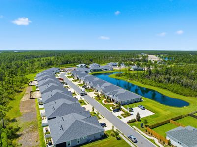 The Villas at Longleaf Park, a Watersound Origins® community by Fischer Homes in Inlet Beach - image