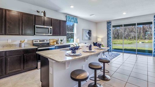 Angeline Townhomes by D.R. Horton in Land O' Lakes - photo 7 7