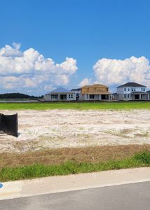 Westview: Aden South III by Lennar in Kissimmee - photo 14 14