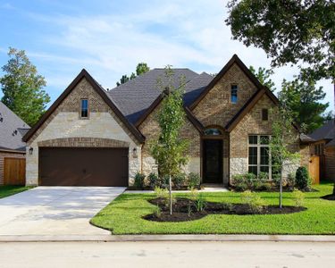 Walsh Ranch 60' by Britton Homes in Aledo - image 12