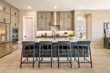 Solstice at Terraza by Tri Pointe Homes in San Tan Valley - photo 24 24