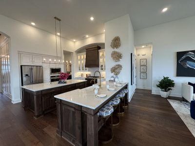 Mayfair: 50ft. lots by Highland Homes in New Braunfels - image 7