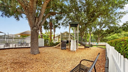 Longleaf: The Havens 9