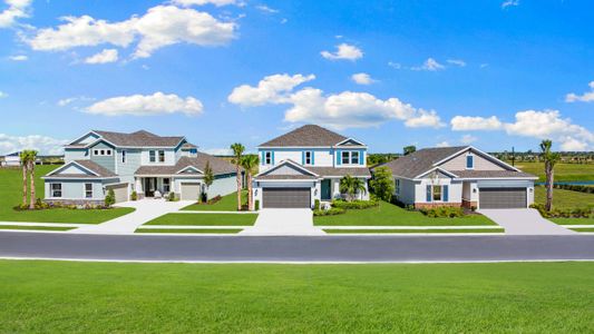 Palms at Coasterra by Taylor Morrison in Palmetto - image 11