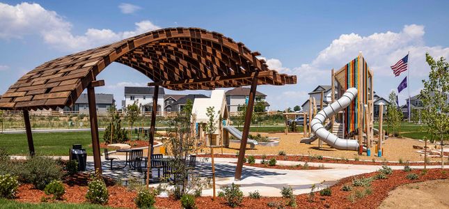 Prairie Song: The Petal Collection by Lennar in Windsor - image 5