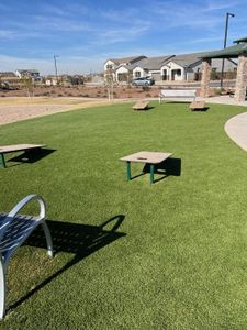 The Grove at El Cidro by William Ryan Homes in Goodyear - image 3
