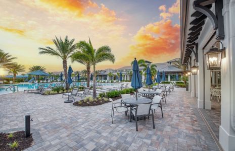 Talon Preserve on Palmer Ranch by DiVosta in Nokomis - image 11