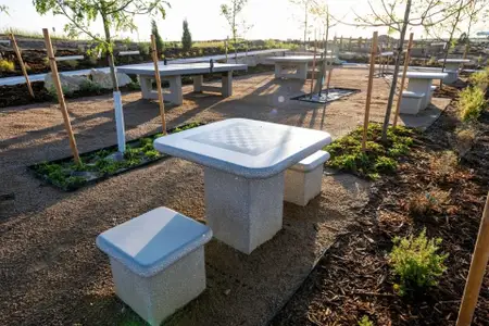 The Haven II Collection  at Painted Prairie 16