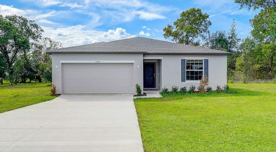 New Smyrna & Edgewater 3