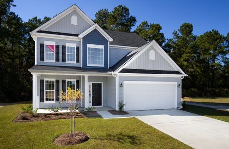 Daniel Farms by Eastwood Homes in Benson - photo 10 10