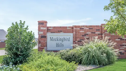 Mockingbird Hills by Bloomfield Homes in Joshua - image