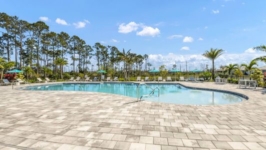 Cove Royale by Kolter Homes in Stuart - photo 37 37