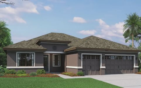 Royal Highlands by Vitale Homes in Brooksville - photo 16 16