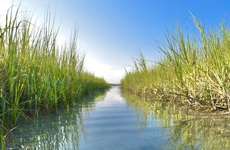 River Hills by Stevens Fine Homes in Shallotte - image 18