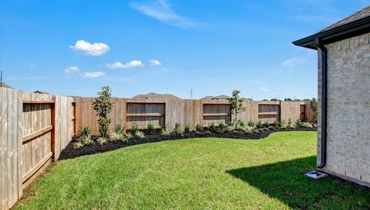 Sunterra 40 by Tricoast Homes in Katy - image 20