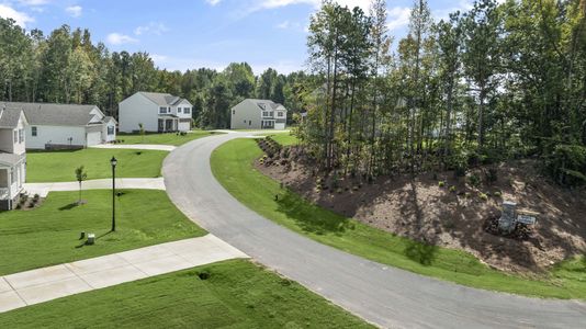 Reserve at Satterfield by D.R. Horton in Willow Spring - photo 4 4