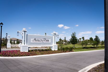 Avalon Park Tavares by Stanley Martin Homes in Tavares - photo 3 3