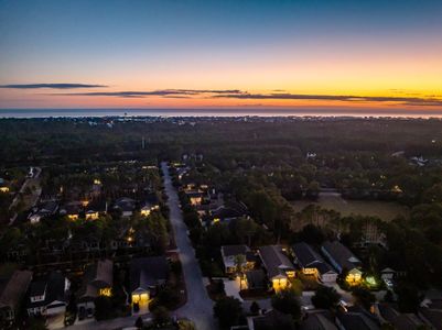 The Villas at Longleaf Park, a Watersound Origins® community by Fischer Homes in Inlet Beach - image 14