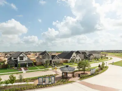 Grange 45' Homesites by David Weekley Homes in Katy - image