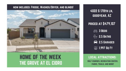 The Grove at El Cidro by William Ryan Homes in Goodyear - photo 84 84