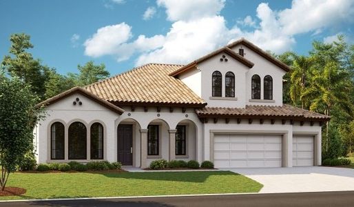 Creek Ridge Preserve by Homes by WestBay in Lithia - image 12