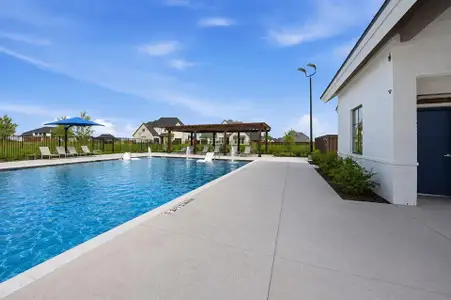 The Homestead - 72' by Drees Custom Homes in Rockwall - image 5