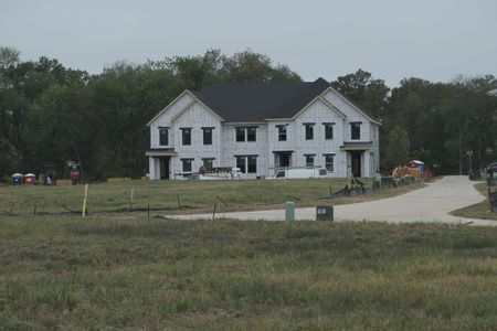 Painted Tree - Village District by CB JENI Homes in McKinney - image 3