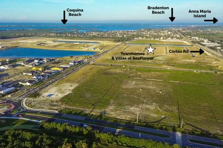 SeaFlower by M/I Homes in Bradenton - image 17