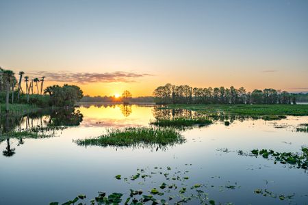 Immerse yourself in nature by visiting Lake Woodruff National Wildlife Refuge 10 miles away | Trinity Gardens | Landsea Homes