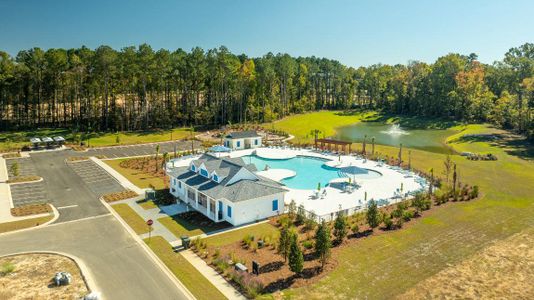 Carolina Groves Townhomes by D.R. Horton in Moncks Corner - photo 4 4