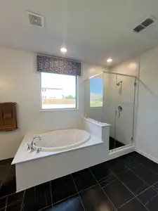 Lilyana by M/I Homes in Prosper - photo 64 64