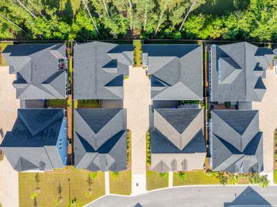 Nexton – Midtown – The Garden Collection by David Weekley Homes in Summerville - image 10