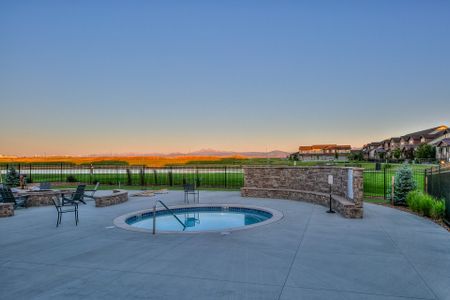 Vernazza by Landmark Homes in Windsor - image 17