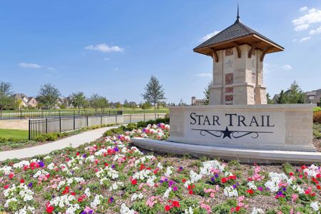 Star Trail: 65ft. lots by Highland Homes in Prosper - photo 6 6