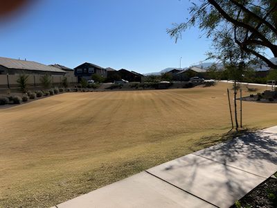 Estrella Crossing by Starlight Homes in Laveen - photo 8 8