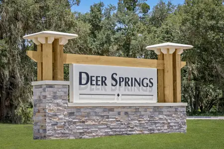 Deer Springs by KB Home in Zephyrhills - image