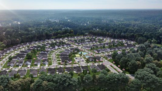 The Courtyards at Bailey Farm by Epcon Communities in Dacula - photo 0