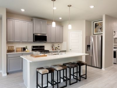 Pine Lake Cove - Premier Series by Meritage Homes in Conroe - photo 9 9