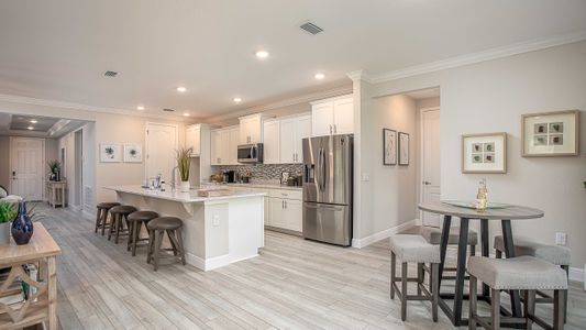 Royal Highlands by Maronda Homes in Brooksville - photo 24 24