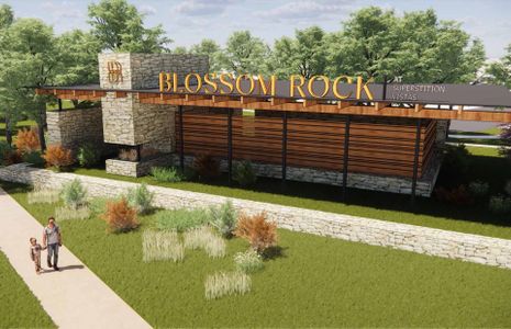 Blossom Rock by Pulte Homes in Apache Junction - photo 3 3