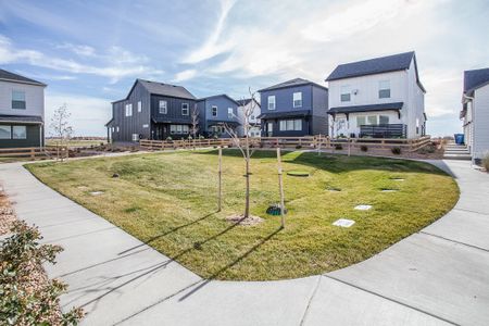 Bloom Cottages 16