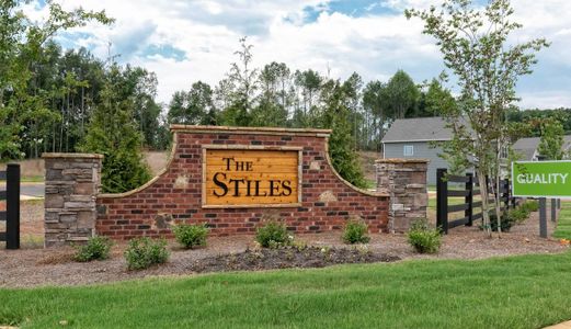 The Stiles by Smith Douglas Homes in Cartersville - photo 3 3